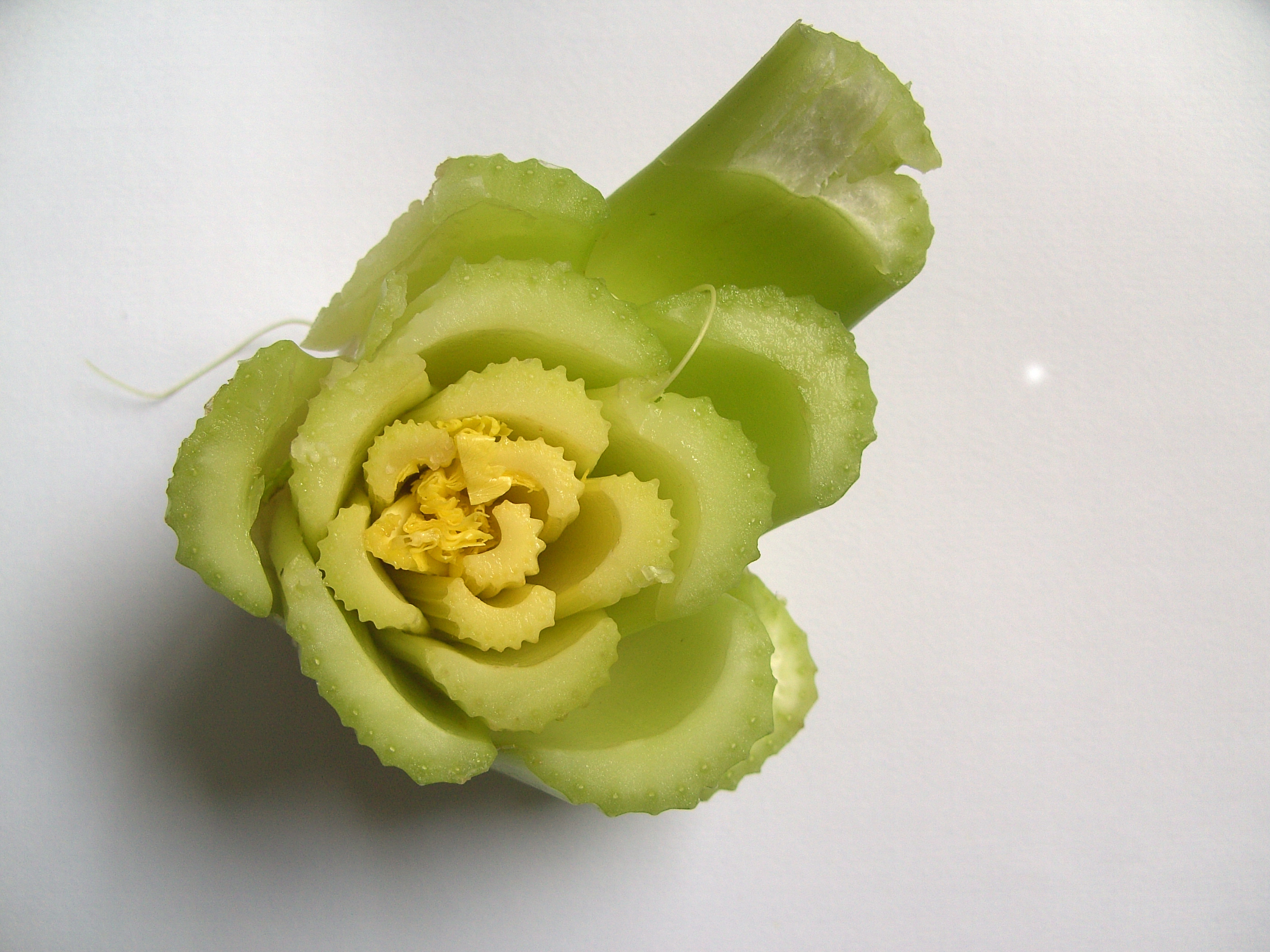 vegetable1
